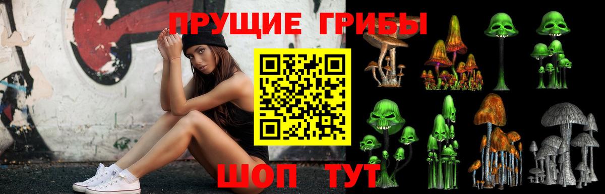 Лосино-Петровский  где продают   Вход с VPN  Псилоцибиновые грибы GOLDEN TEACHER 
